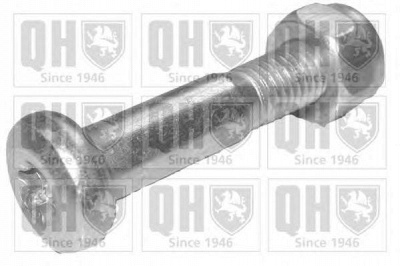 QUINTON HAZELL qsk226s -  Зажимный болт, несущий / направляющий шарнир